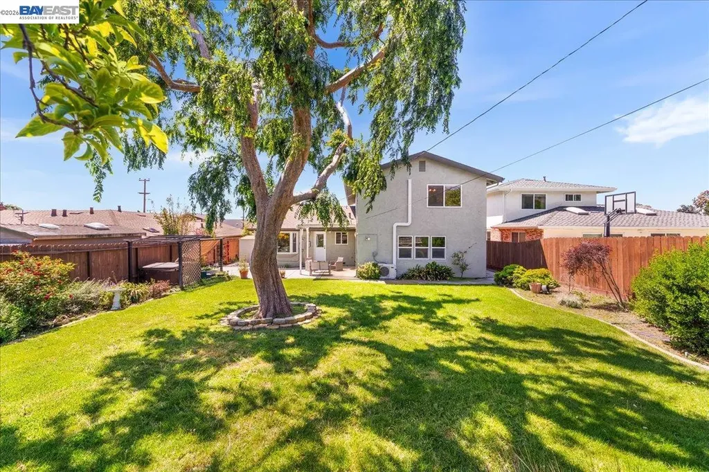 48260 Conifer Street Fremont CA 94539