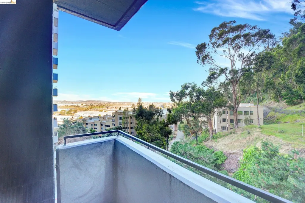555 Pierce Street Albany CA 94706