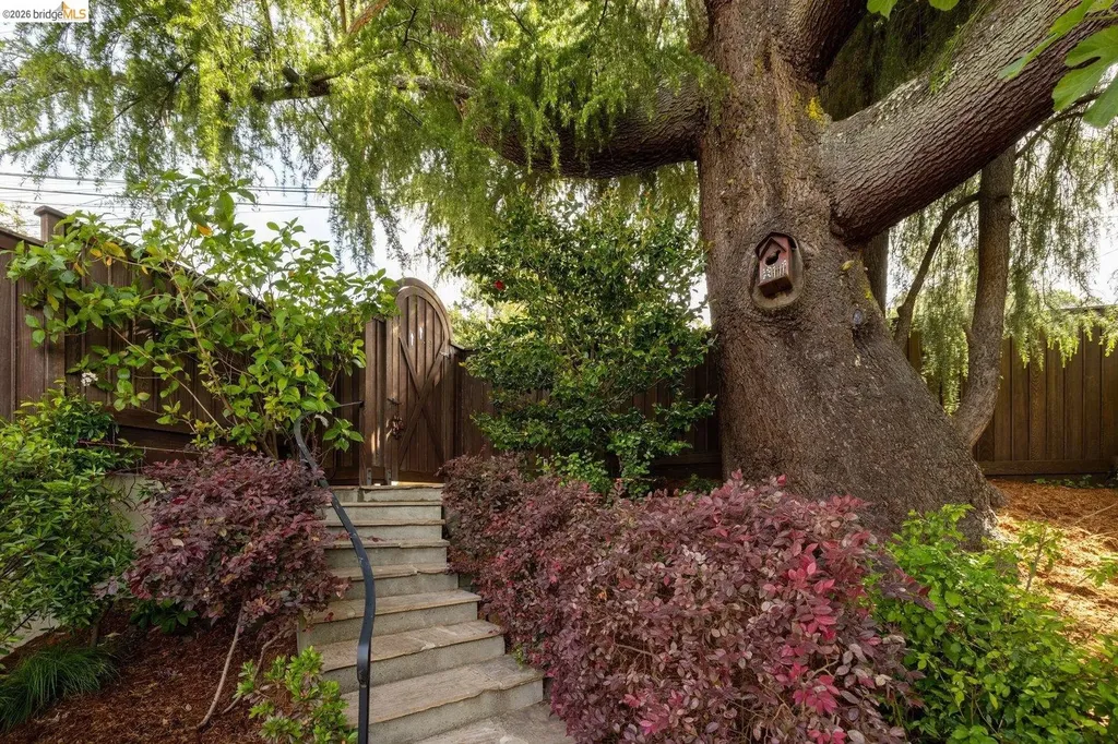 636 Euclid Avenue Berkeley CA 94708