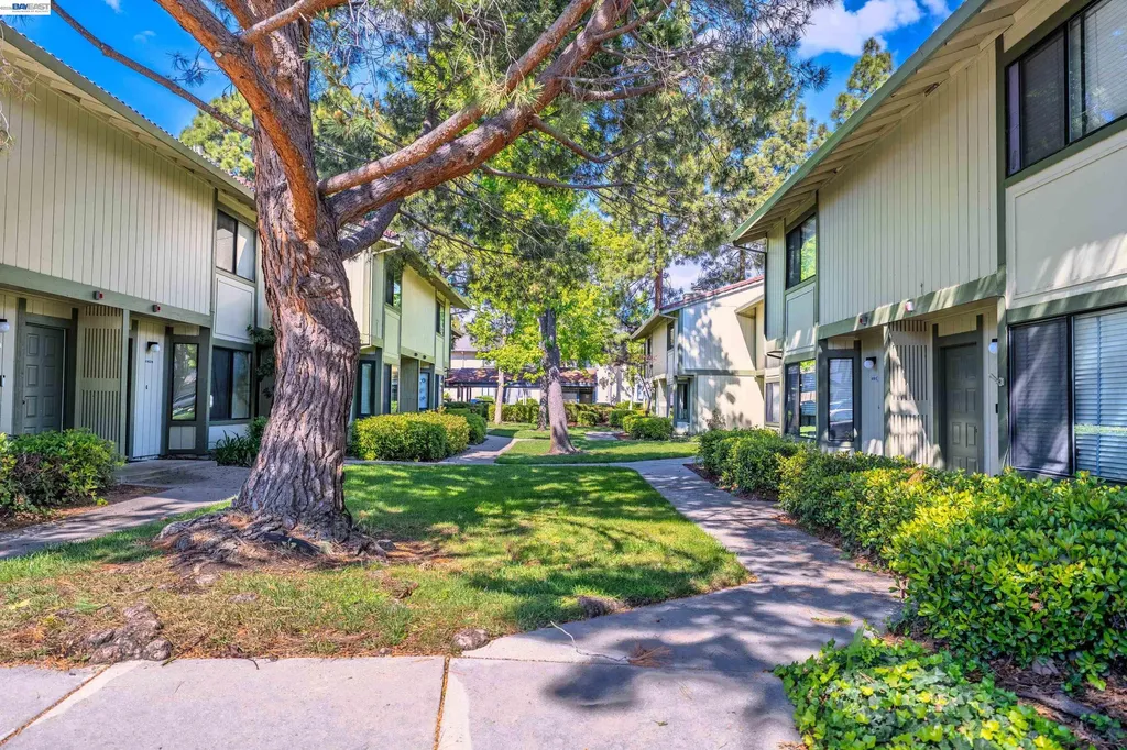 6151 Joaquin Murieta Avenue Newark CA 94560