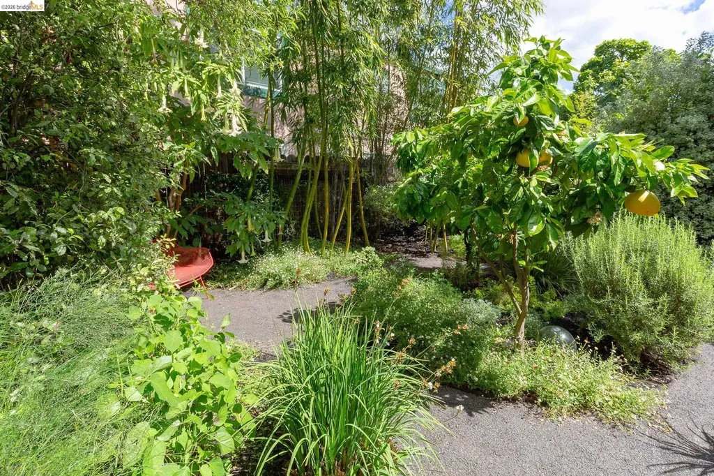 2155 Emerson Street Berkeley CA 94705