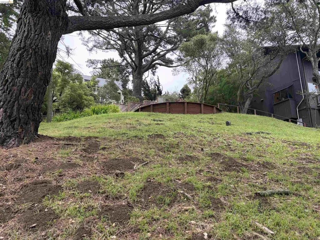 1181 Keeler Avenue Berkeley CA 94708