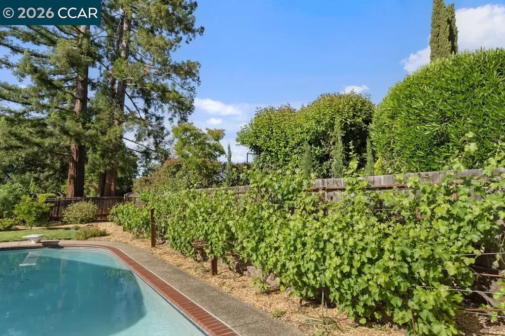 2866 Bowling Green Drive Walnut Creek CA 94598