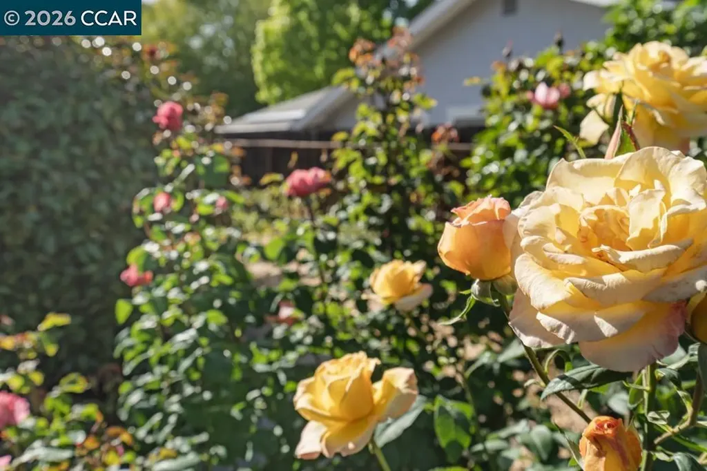 2866 Bowling Green Drive Walnut Creek CA 94598