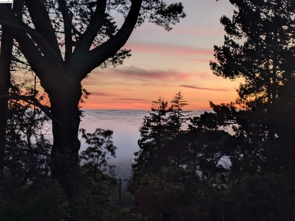 1170 Sterling Avenue Berkeley CA 94708