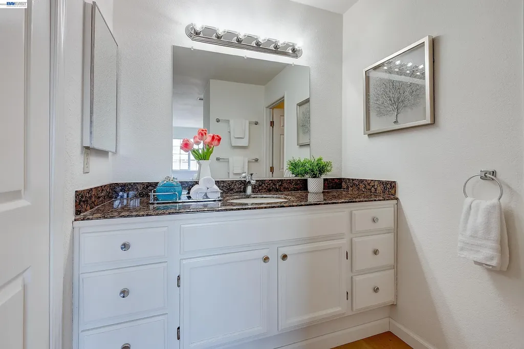 4167 Sunflower Court Union City CA 94587