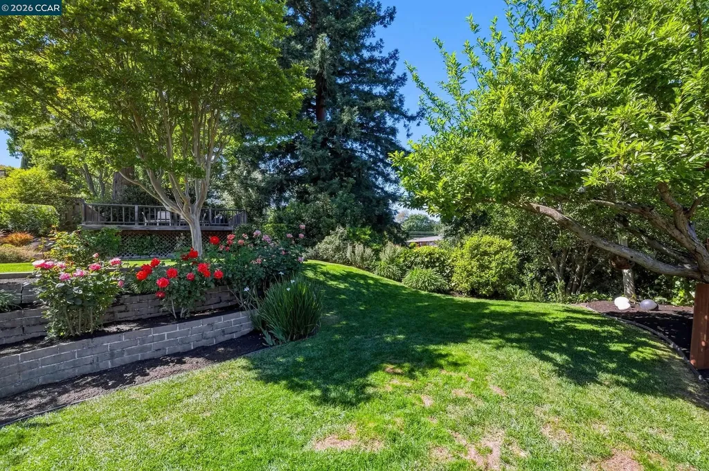 1445 Ramsay Circle Walnut Creek CA 94597