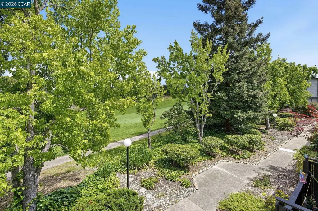 1473 Marchbanks Drive Walnut Creek CA 94598