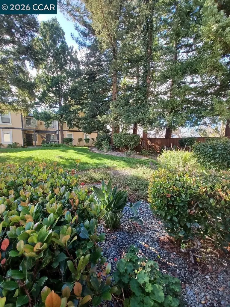 1520 Schenone Court Concord CA 94521