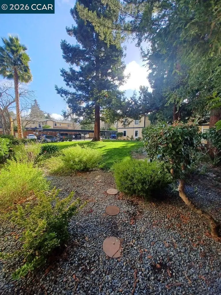 1520 Schenone Court Concord CA 94521
