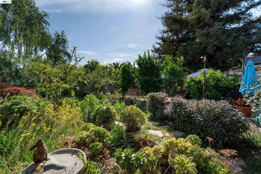 37955 2nd Street Fremont CA 94536