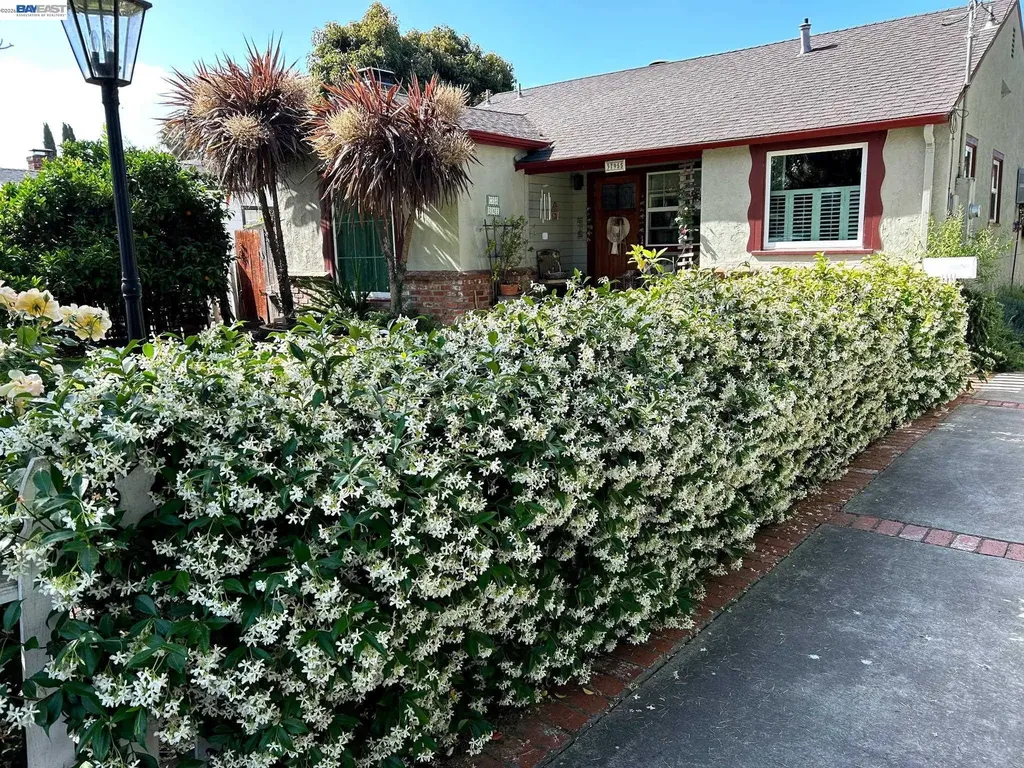 37955 2nd Street Fremont CA 94536