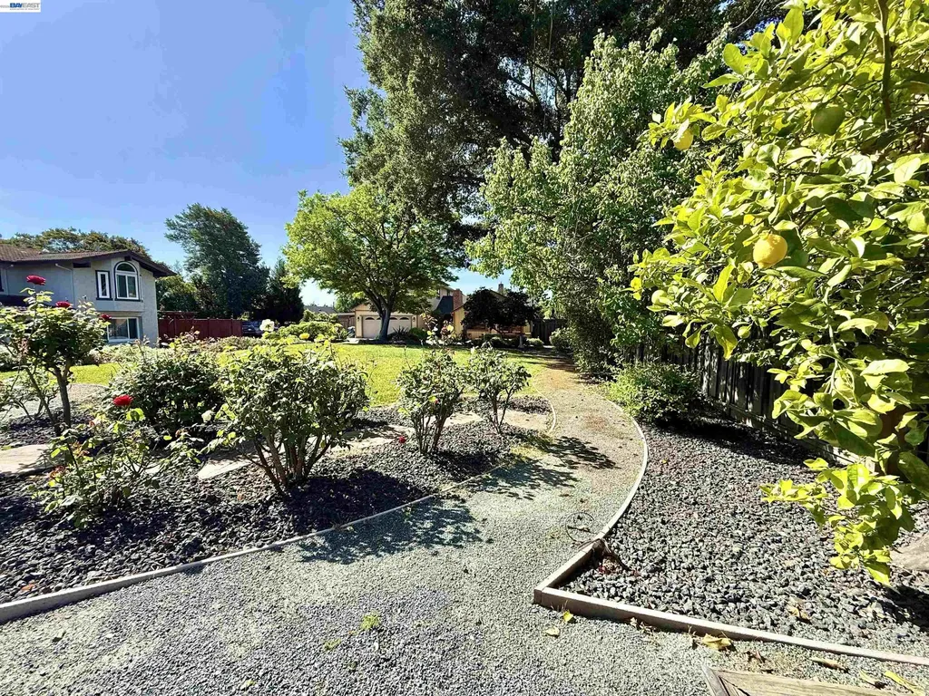 4429 James Avenue Castro Valley CA 94546