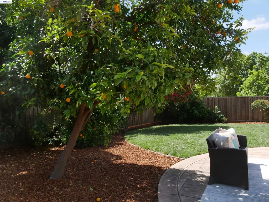 249 Imperio Avenue Fremont CA 94539