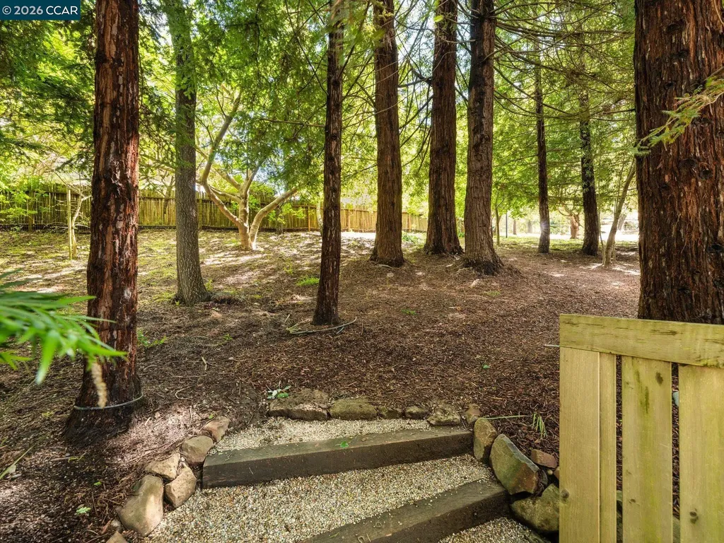 6 Dorothy Place Berkeley CA 94705