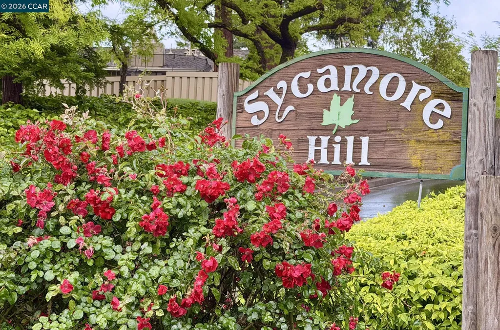 327 Sycamore Hill Court Danville CA 94526