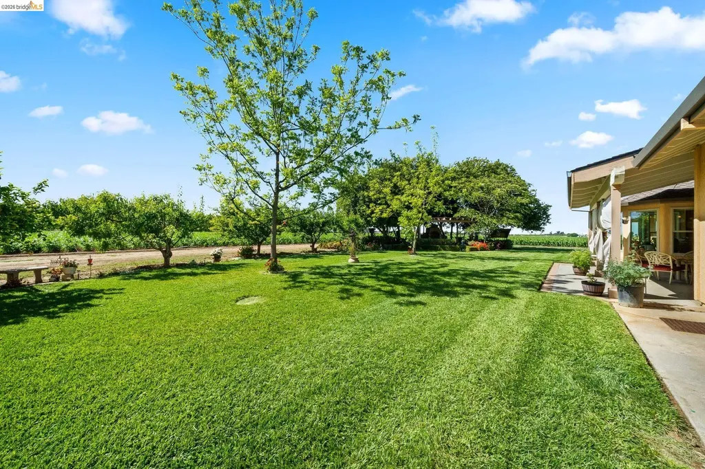 2445 Taylor Lane Byron CA 94514