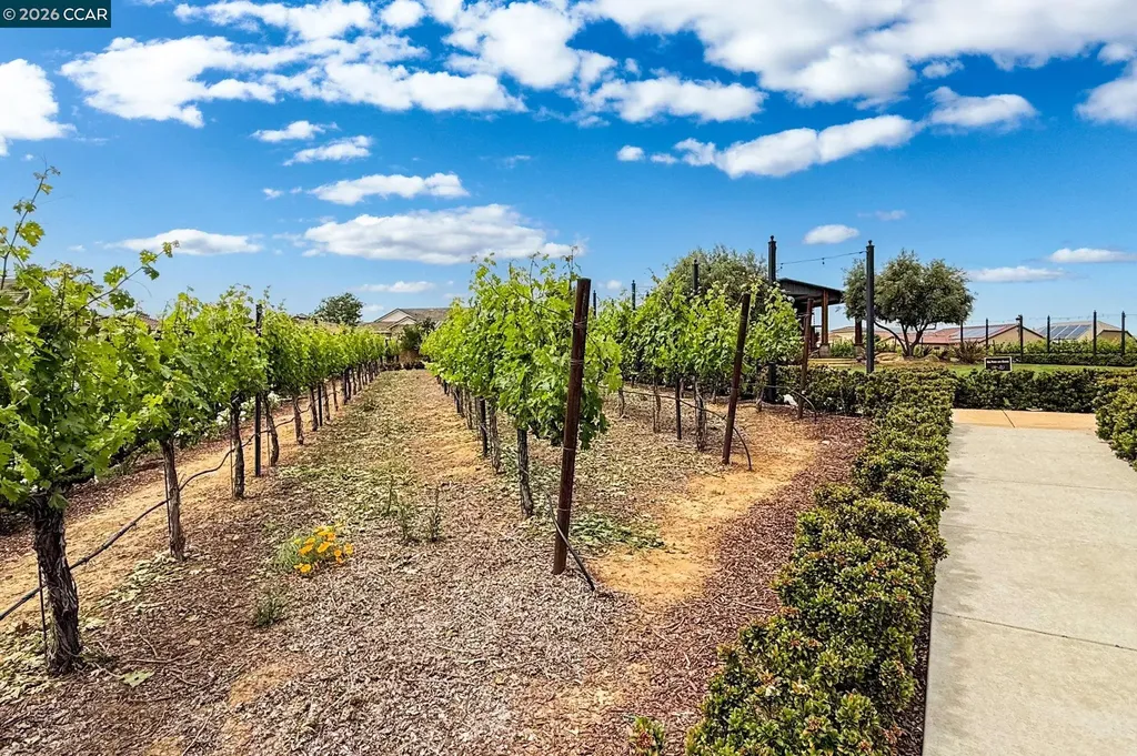 1760 Merlot Circle Brentwood CA 94513