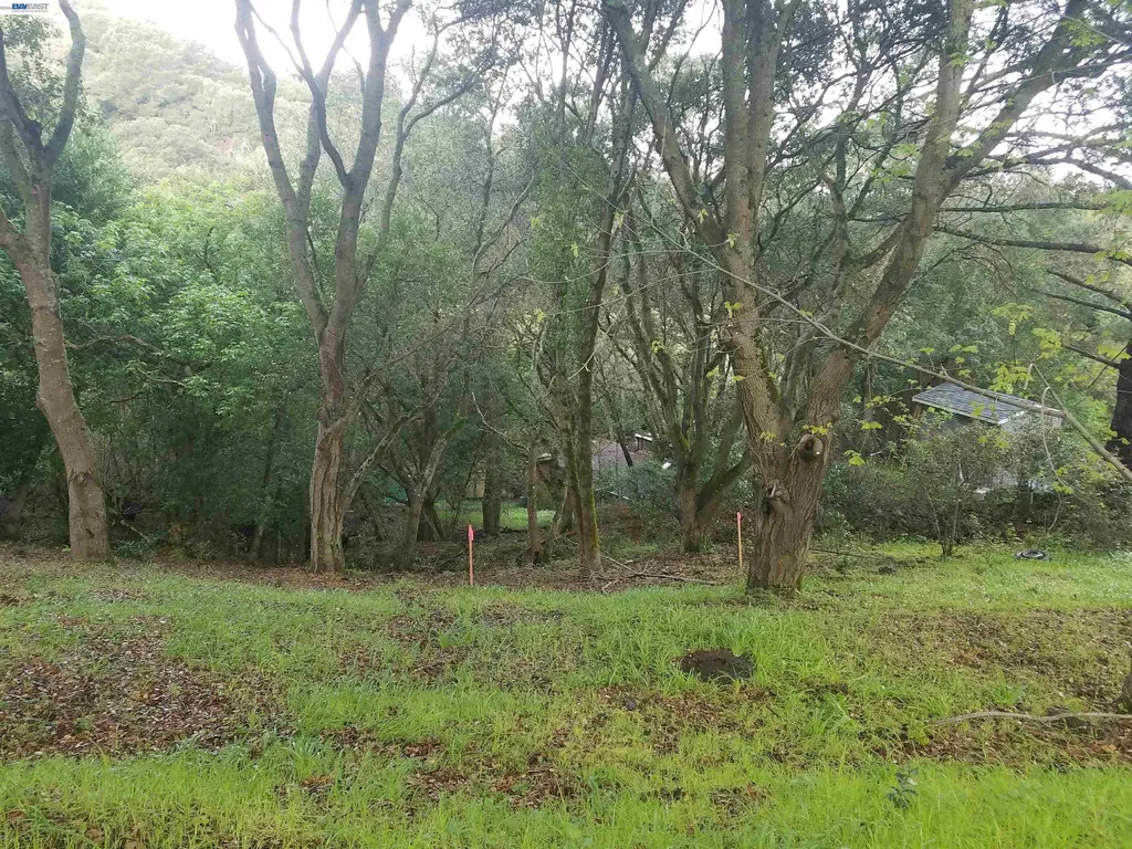 12 Vista Del Orinda Orinda CA 94563