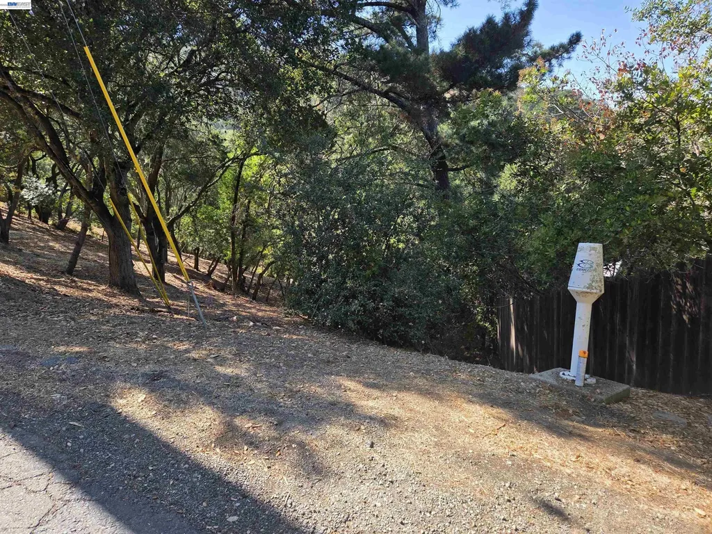 12 Vista Del Orinda Orinda CA 94563