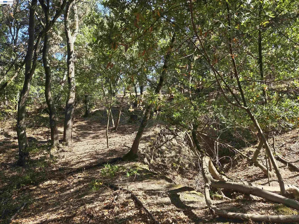 12 Vista Del Orinda Orinda CA 94563