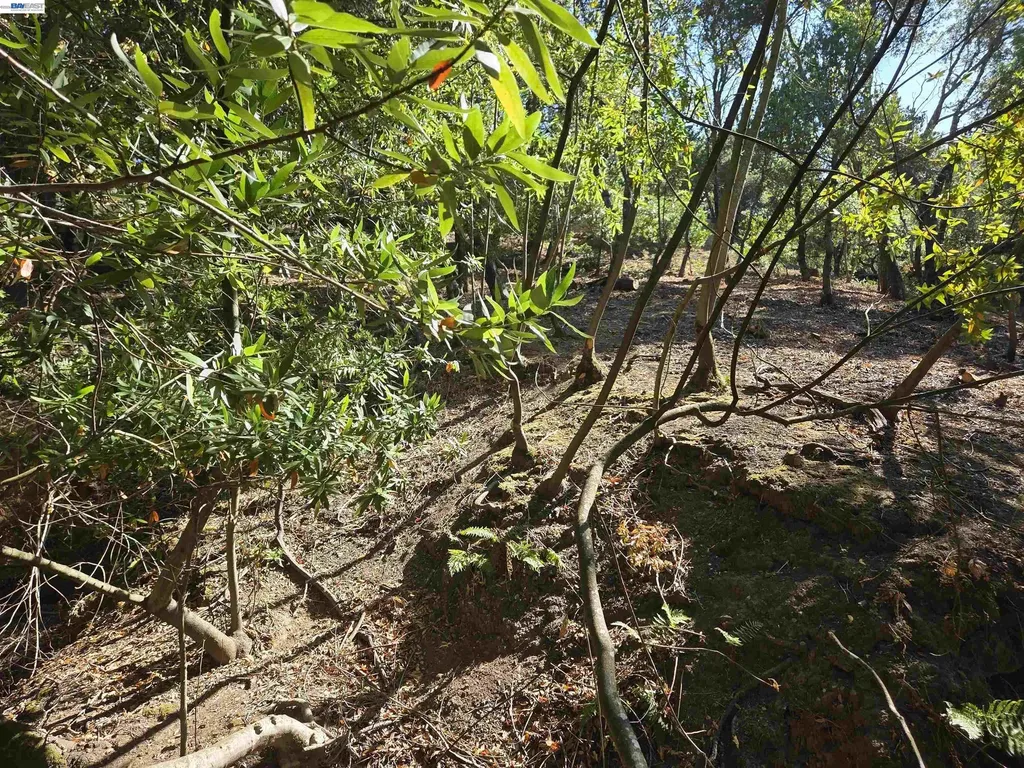 12 Vista Del Orinda Orinda CA 94563