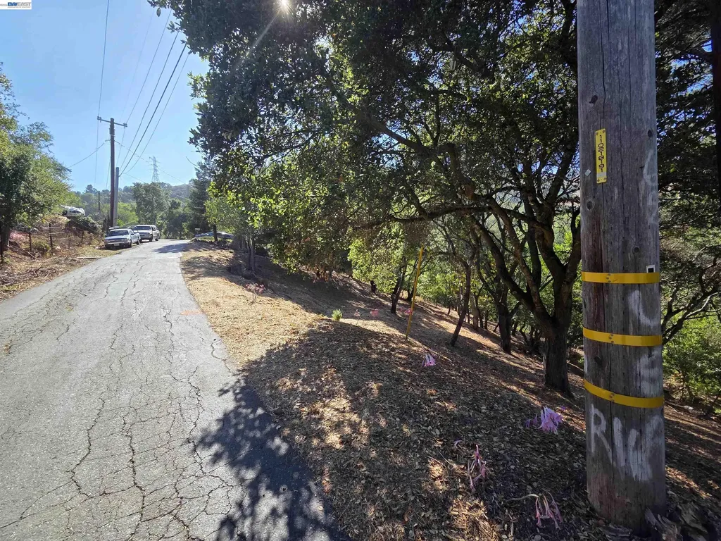 12 Vista Del Orinda Orinda CA 94563