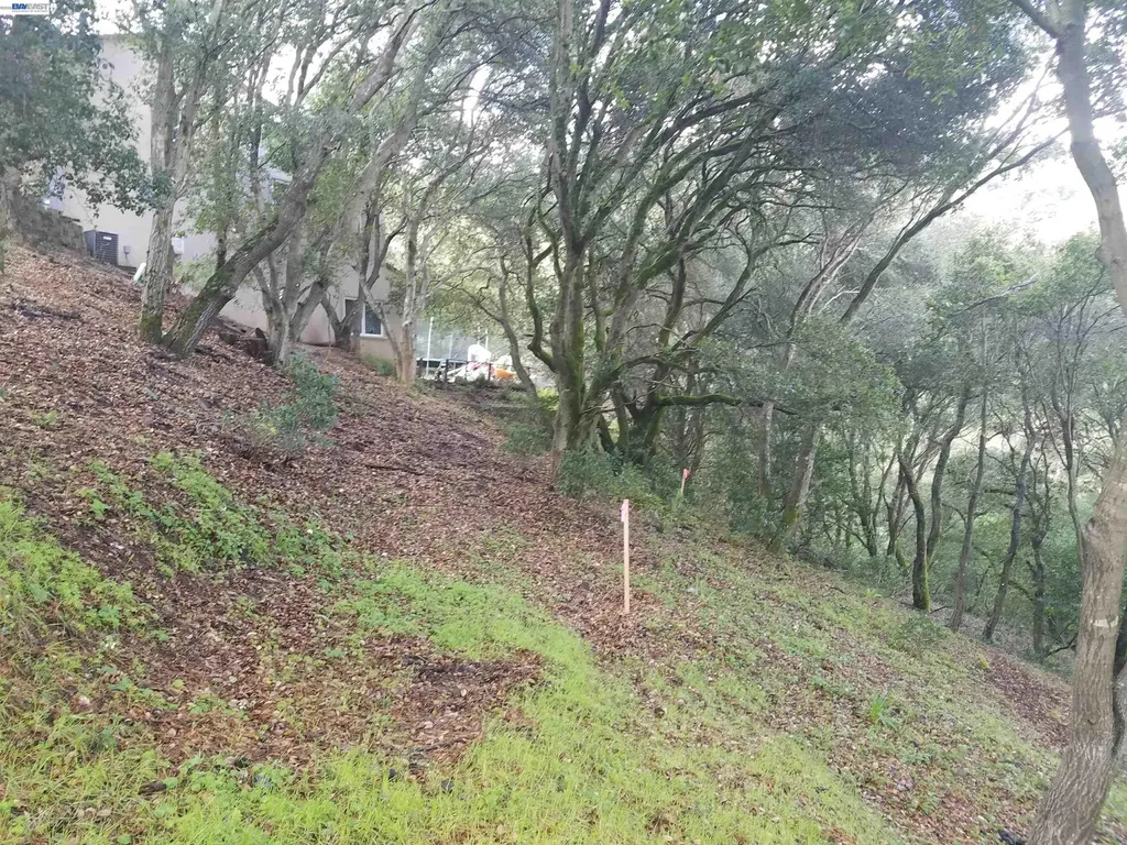 12 Vista Del Orinda Orinda CA 94563
