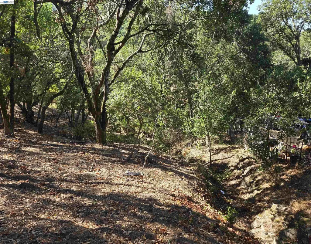 12 Vista Del Orinda Orinda CA 94563
