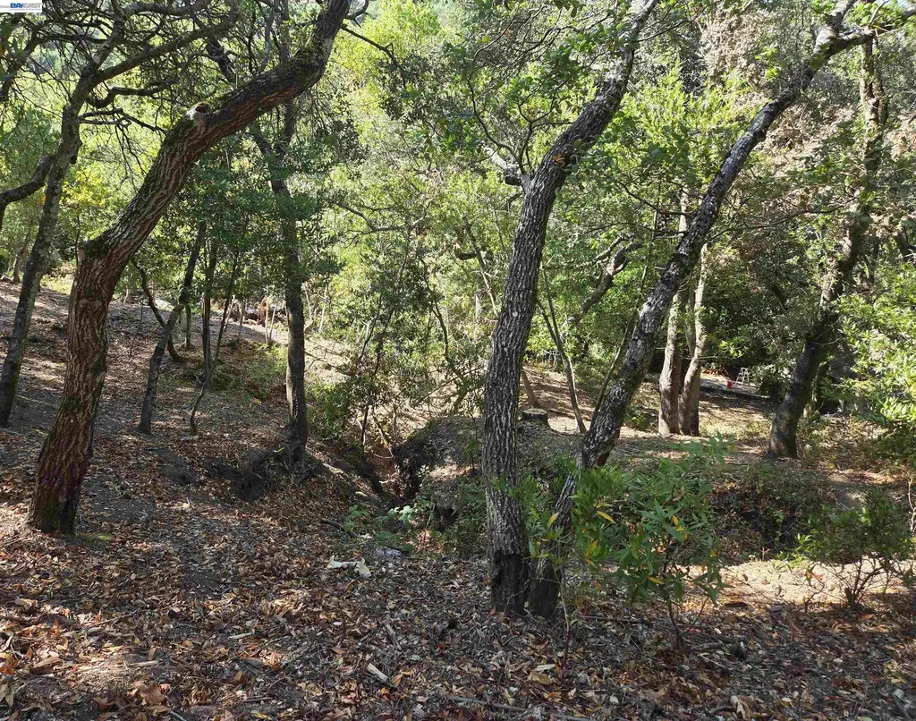12 Vista Del Orinda Orinda CA 94563