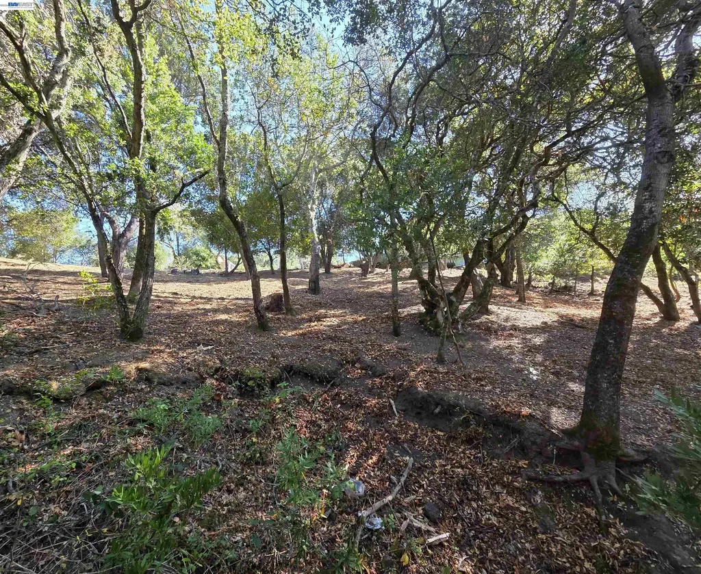 12 Vista Del Orinda Orinda CA 94563
