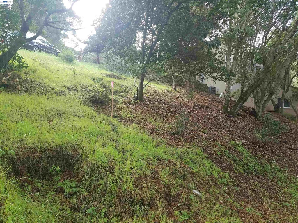 12 Vista Del Orinda Orinda CA 94563