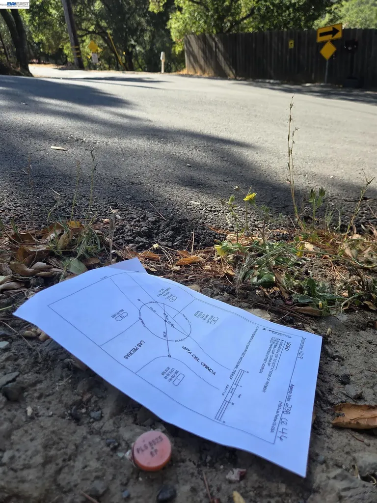 12 Vista Del Orinda Orinda CA 94563