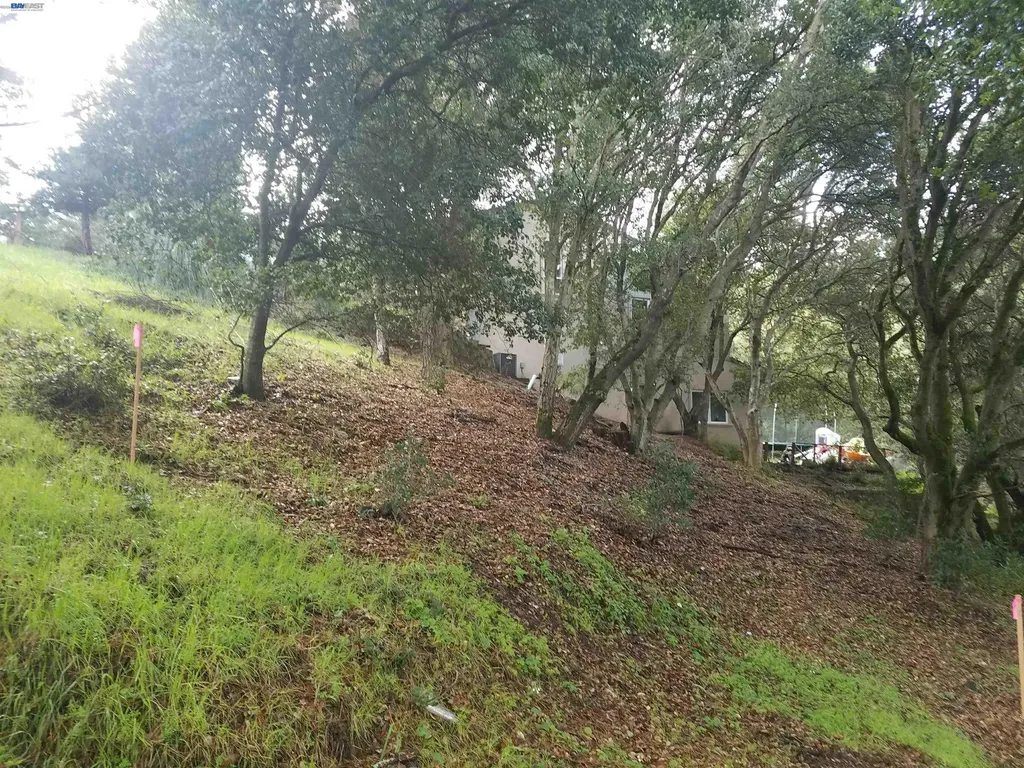 12 Vista Del Orinda Orinda CA 94563