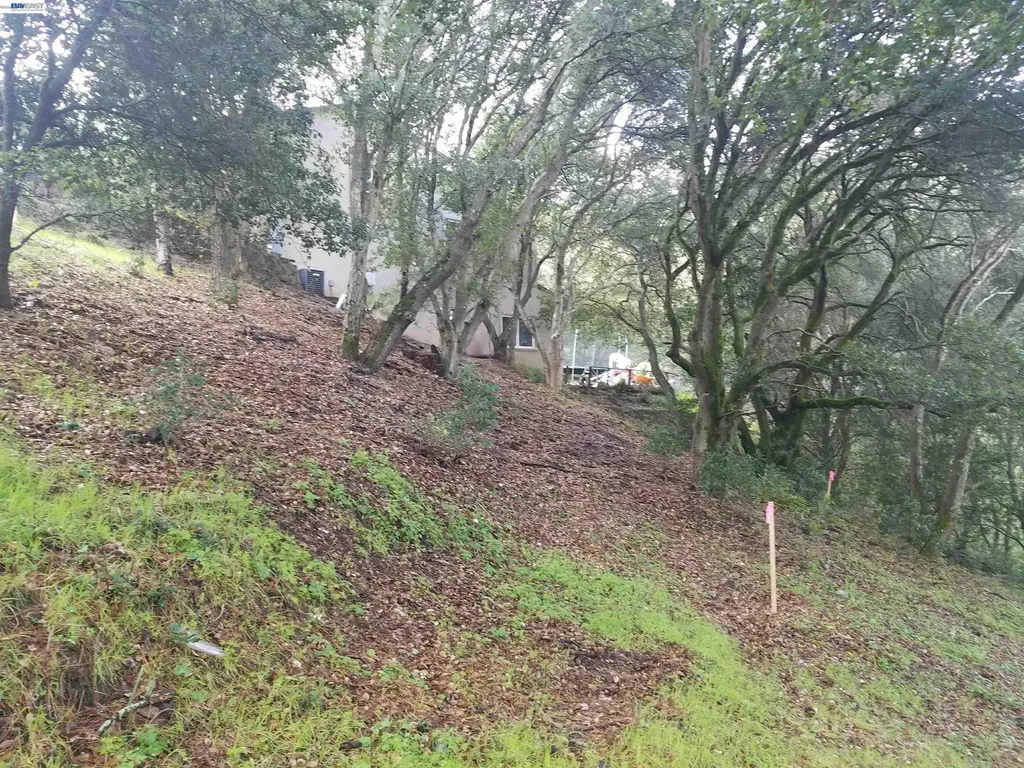 12 Vista Del Orinda Orinda CA 94563