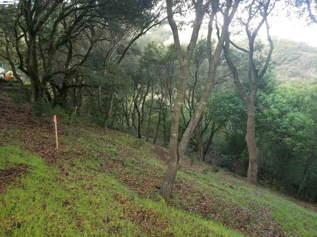 12 Vista Del Orinda Orinda CA 94563