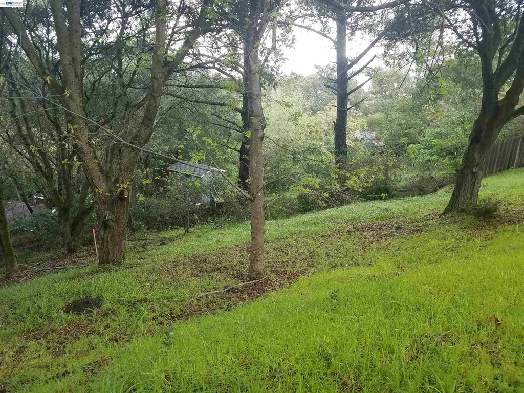 12 Vista Del Orinda Orinda CA 94563