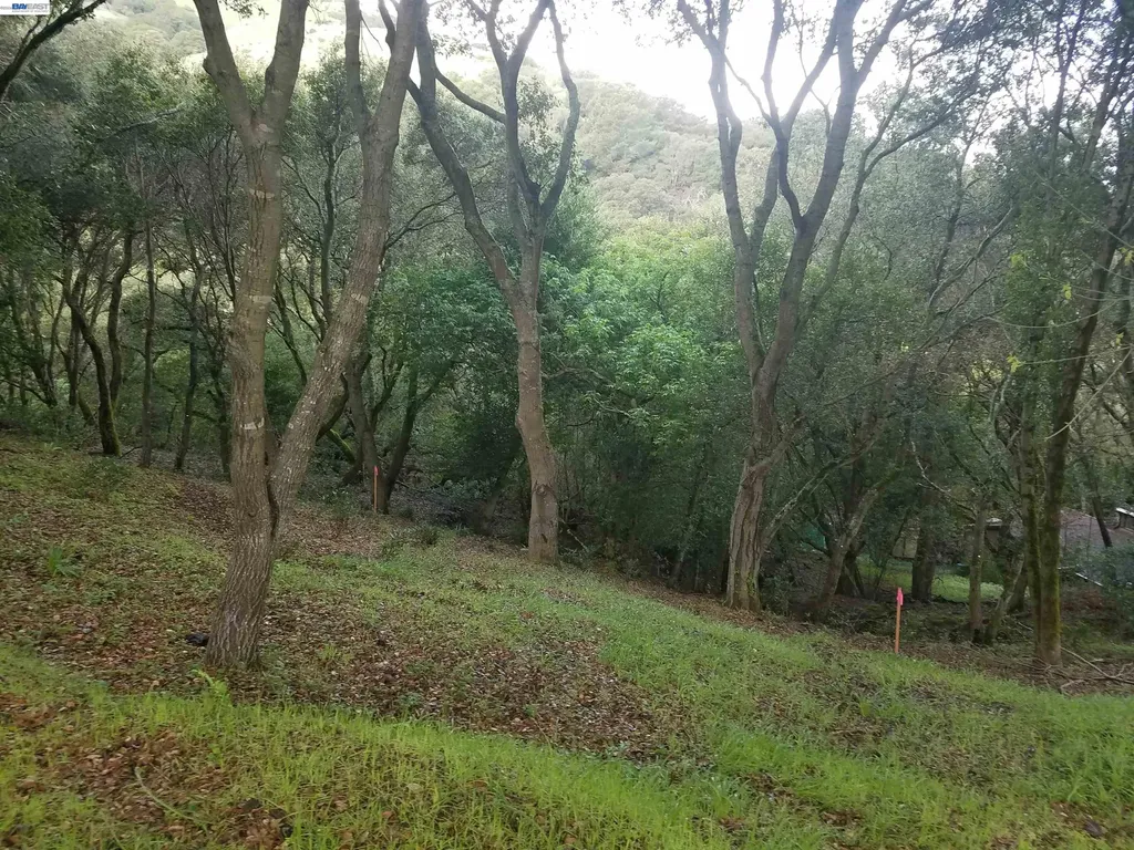 12 Vista Del Orinda Orinda CA 94563