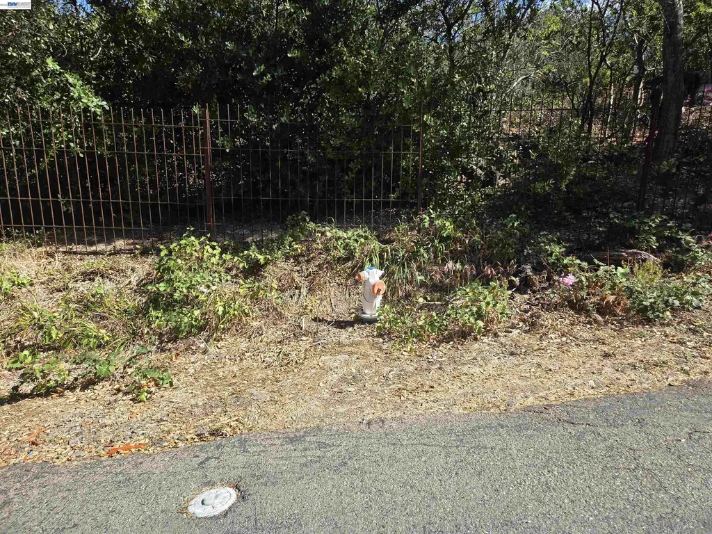 12 Vista Del Orinda Orinda CA 94563