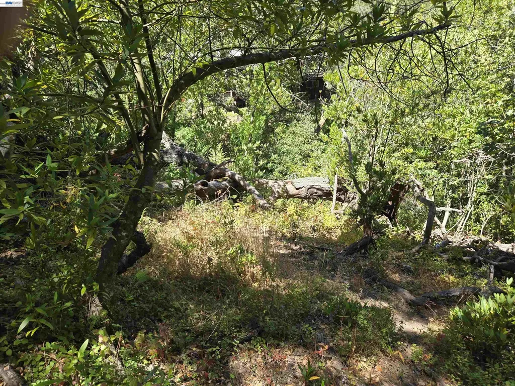 12 Vista Del Orinda Orinda CA 94563