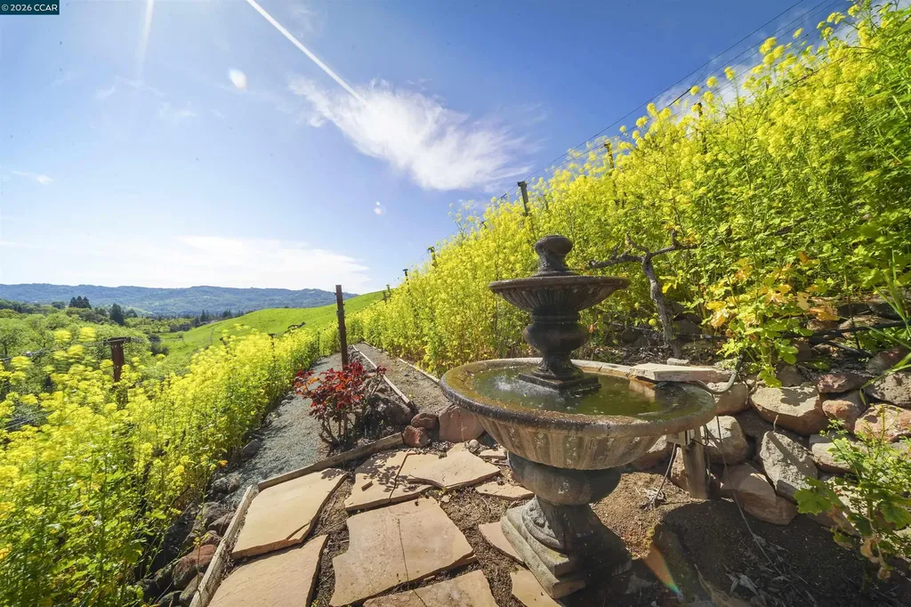 298 Barrington Lane Alamo CA 94507