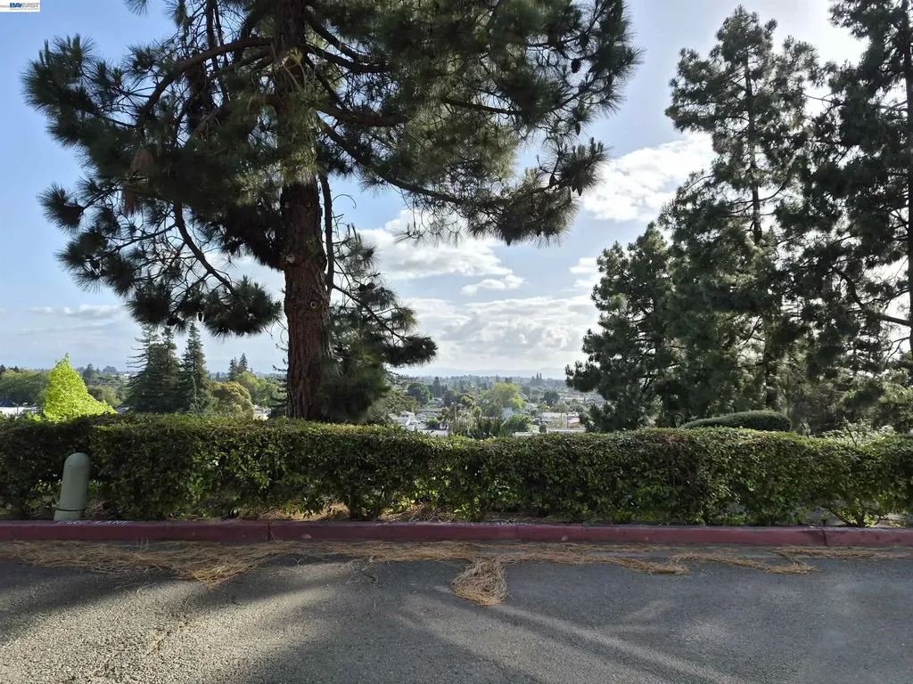 20980 Birch Hayward CA 94541