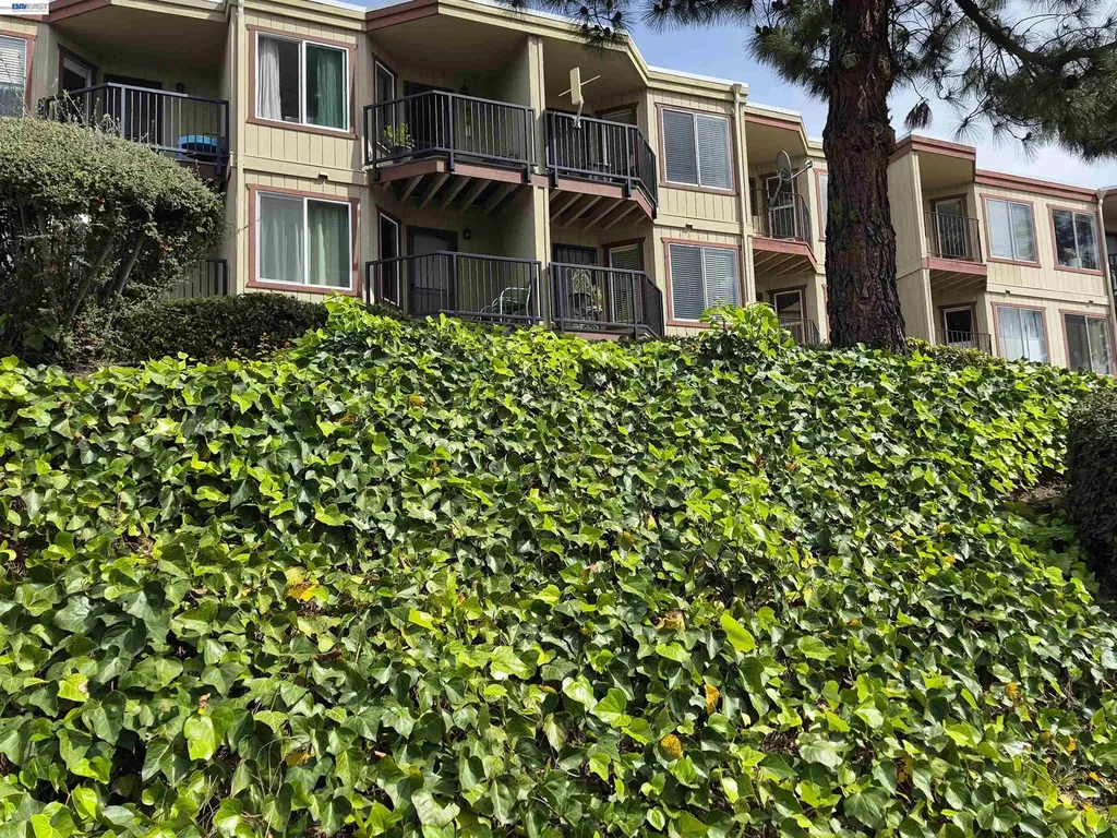 20980 Birch Hayward CA 94541
