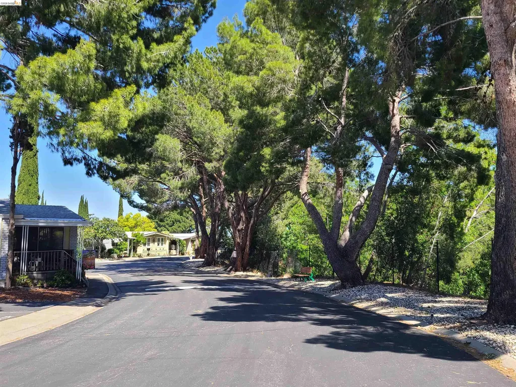50 Leo Antioch CA 94519