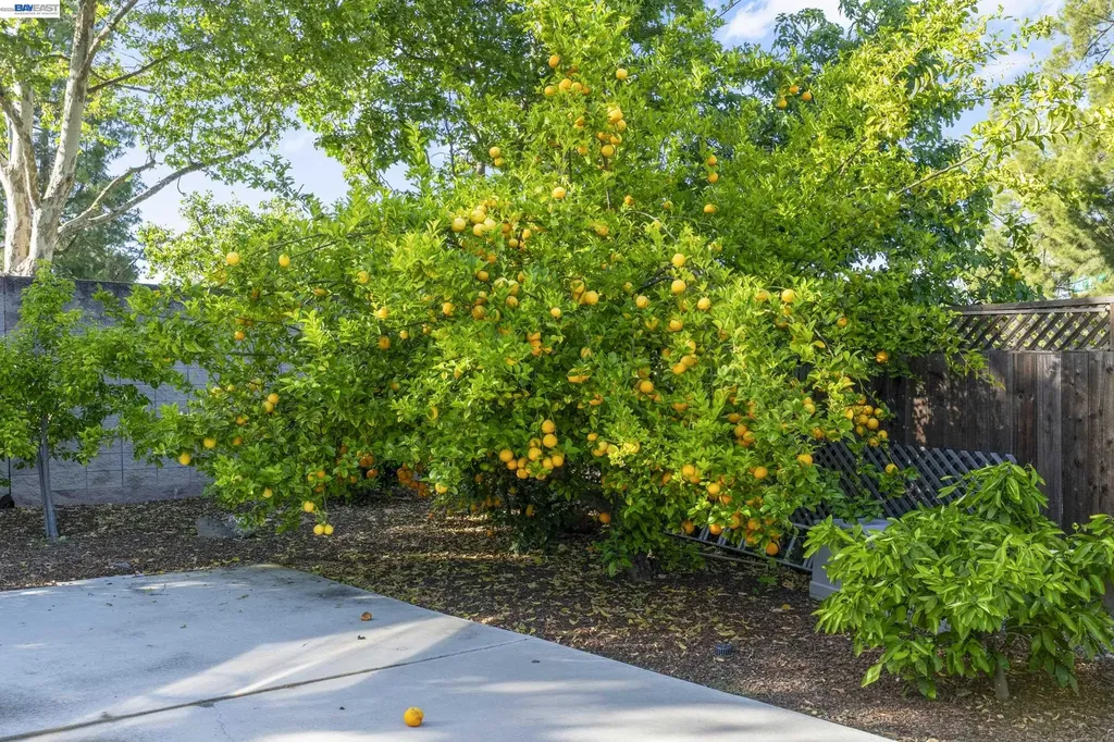 3668 Chelsea Court Pleasanton CA 94588