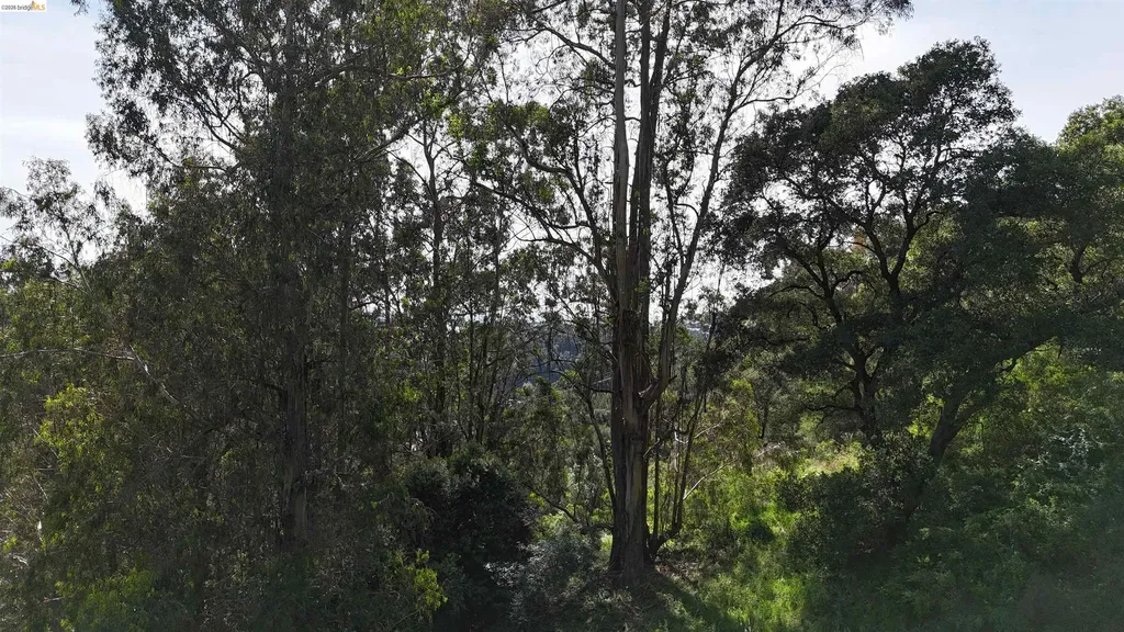 2551 Tunnel Road Oakland CA 94611