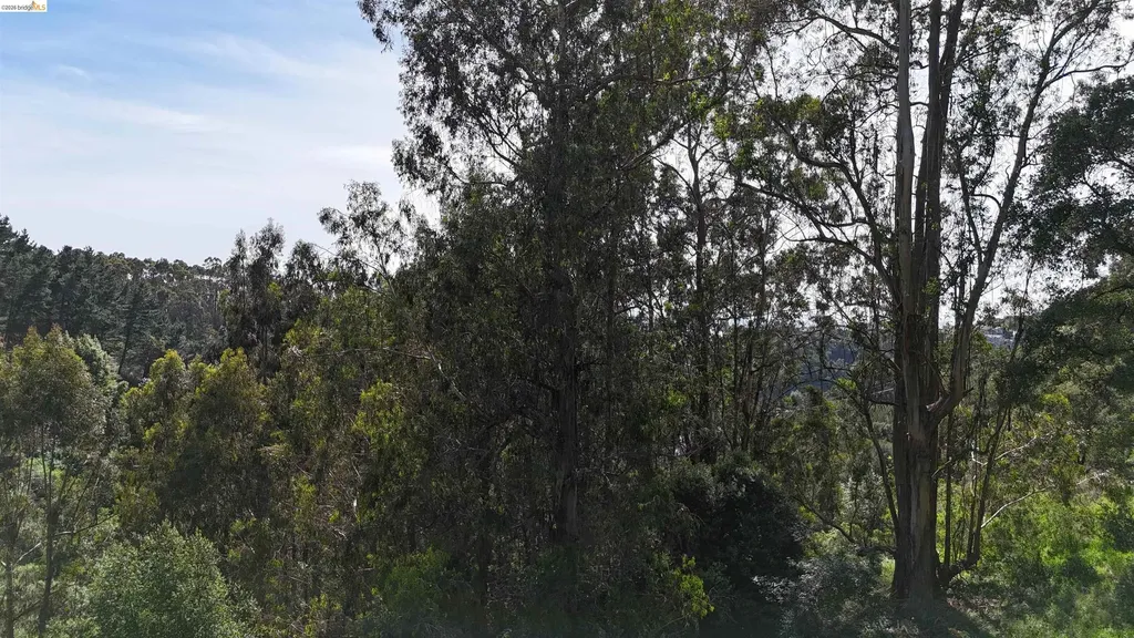 2551 Tunnel Road Oakland CA 94611