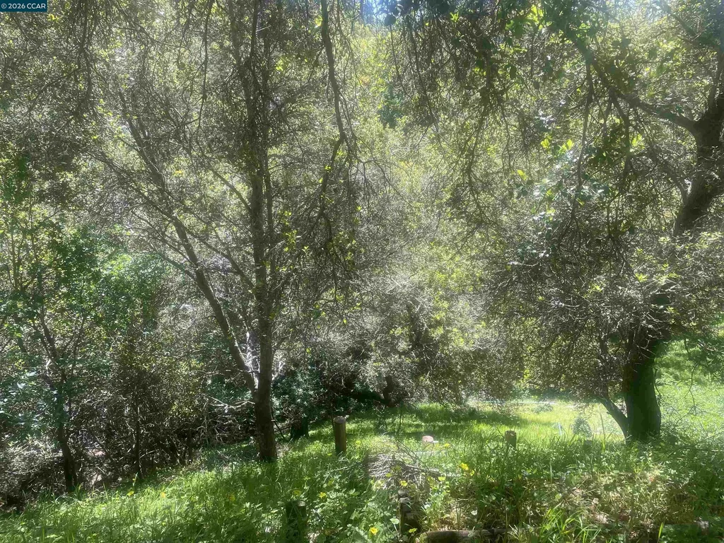 2 Charles Hill Circle Orinda CA 94563