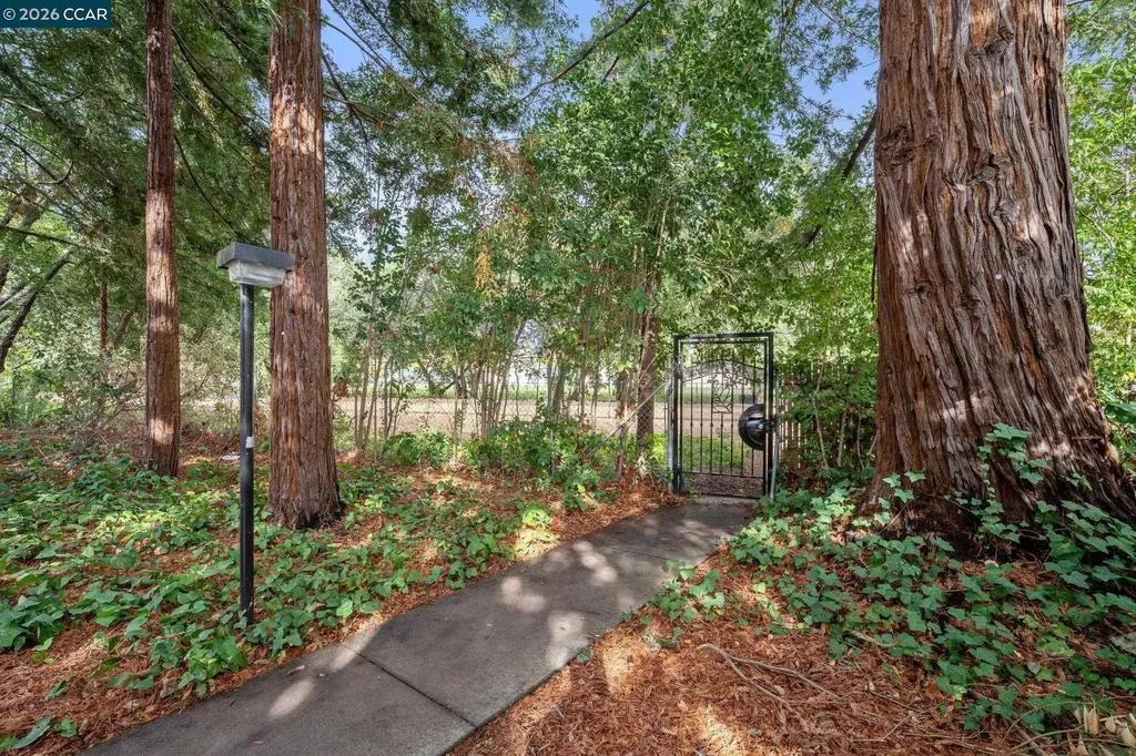 614 Sycamore Circle Danville CA 94526