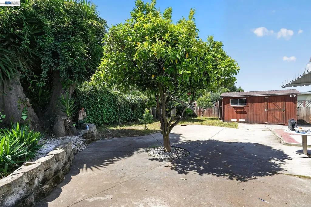 237 Goodwin Street Hayward CA 94544